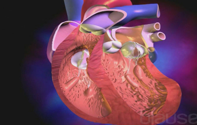 Affections des valves et vaisseaux - Service de cardiologie - CHUV